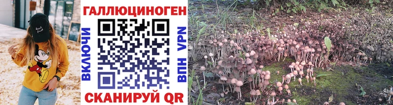 Купить  Горняк  Псилоцибиновые грибы Cubensis 